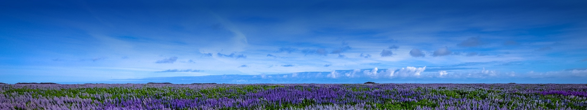 眉山纱帽山公墓